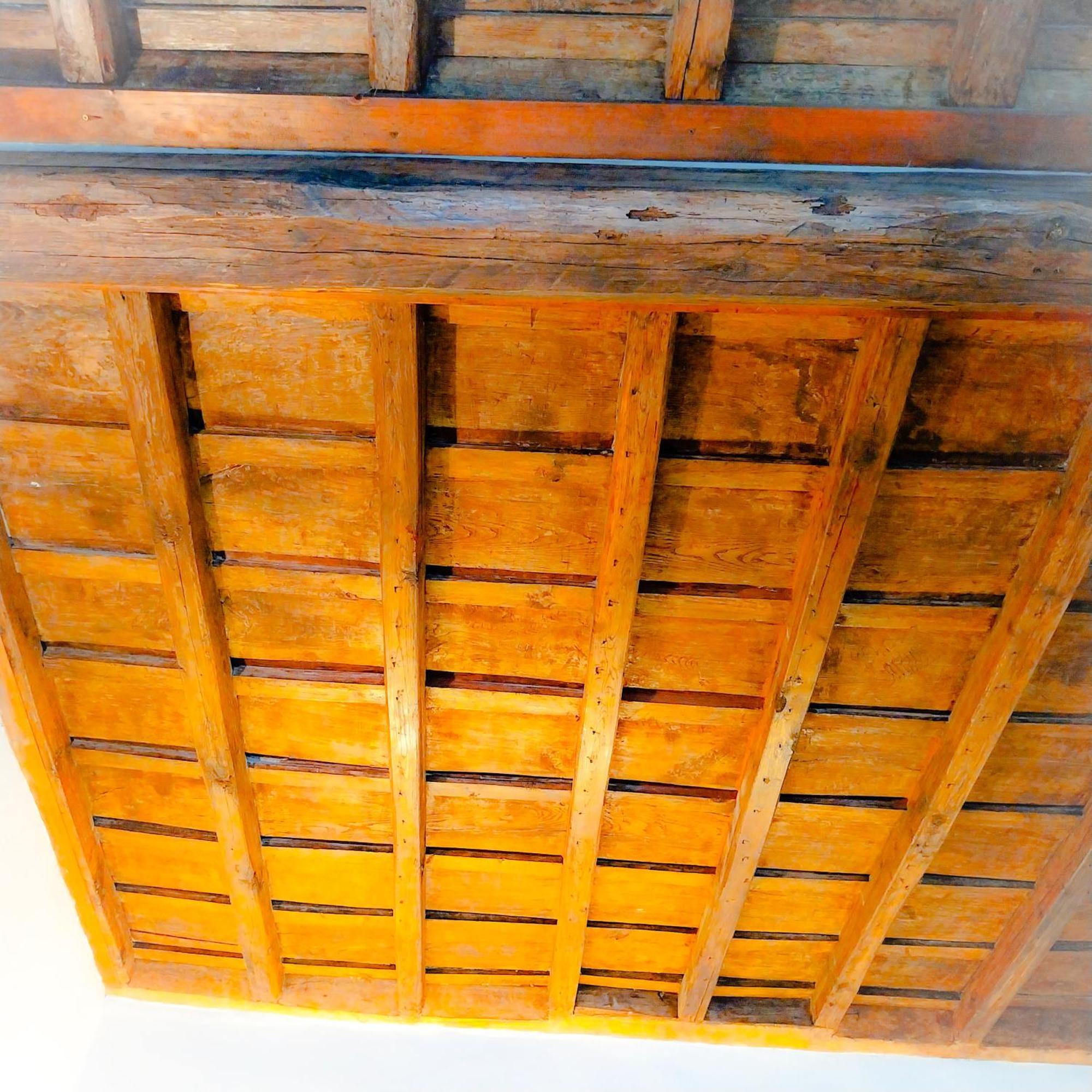 Sunhouseローマ エクステリア 写真
